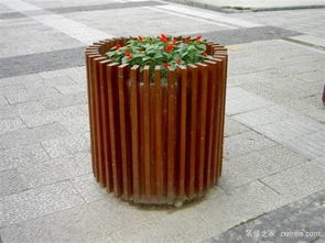 巧手自制木花盆，家居綠意添生機——制作與擺放全攻略